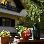 Zseri Vadaszhaz 3*