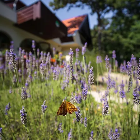 Zseri Vadászház 3* Fehérvárcsurgó