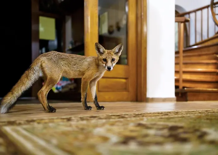 Zseri Vadászház Vendégház Fehérvárcsurgó