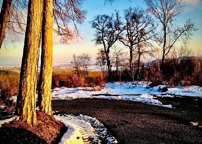 Zseri Vadászház 3*