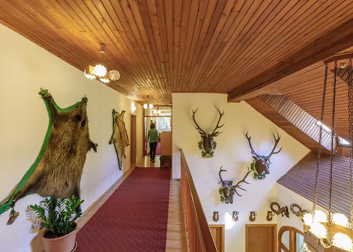 Vendégház Zseri Vadászház 3*